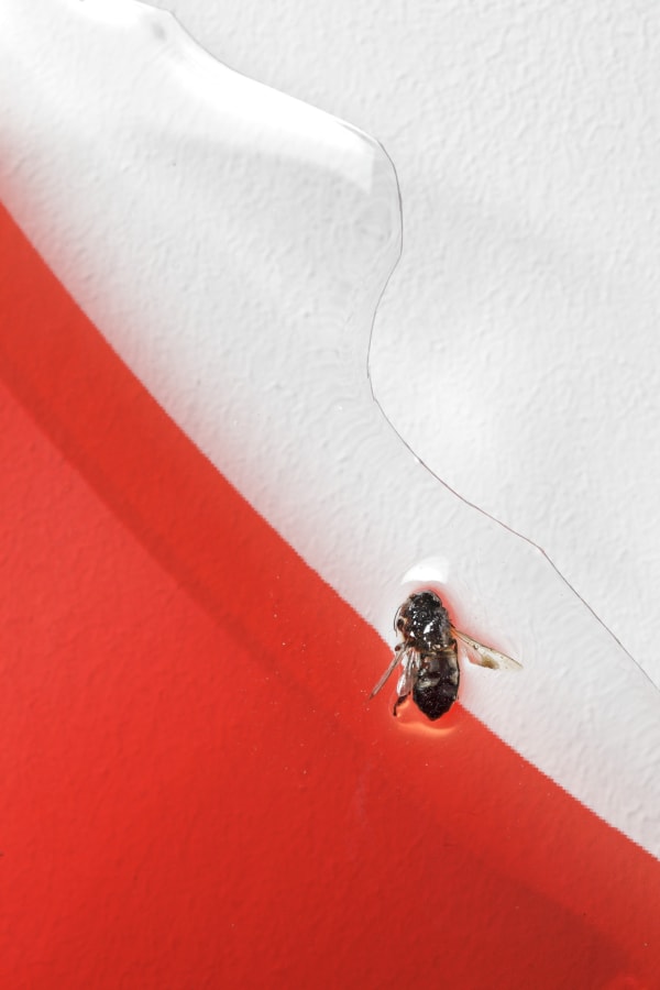 140505 Novitskova 008