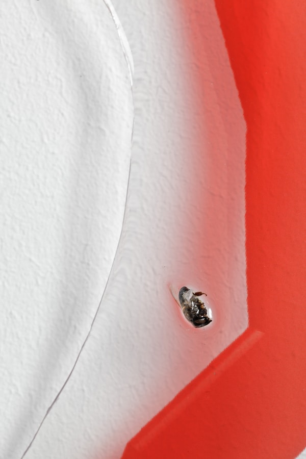 140505 Novitskova 009