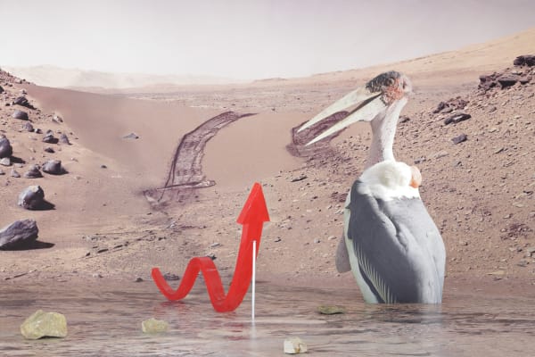 140505 Novitskova 022