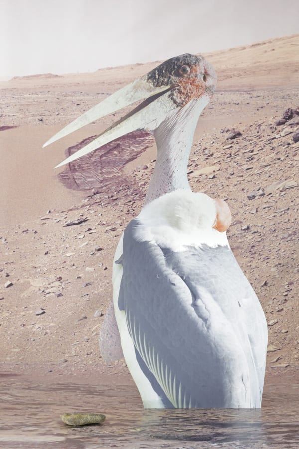 140505 Novitskova 023