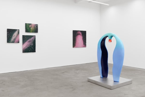 Soft Approximations, exhibition view, Kraupa-Tuskany Zeidler, Berlin, 2022