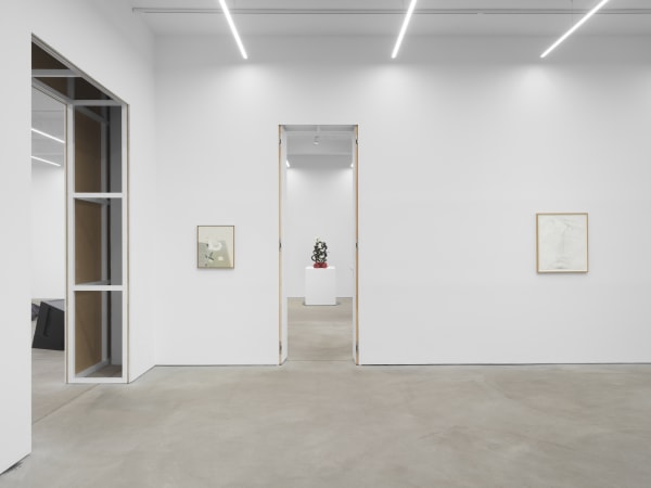 Fictional Syntheses, exhibition view, Kraupa-Tuskany Zeidler, Berlin, 2024