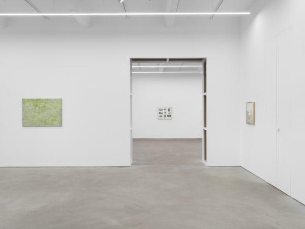 Fictional Syntheses, exhibition view, Kraupa-Tuskany Zeidler, Berlin, 2024