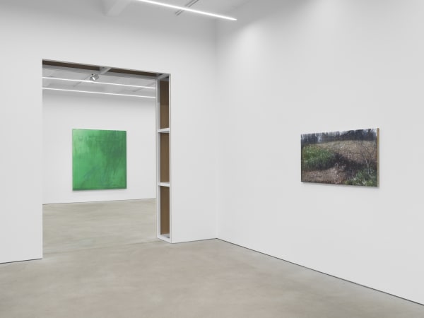 Fictional Syntheses, exhibition view, Kraupa-Tuskany Zeidler, Berlin, 2024