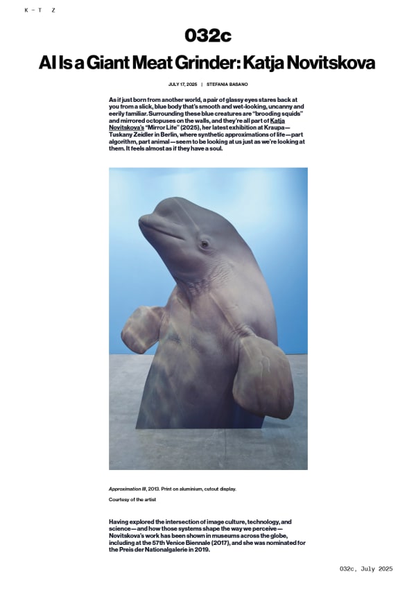 AI Is a Giant Meat Grinder: Katja Novitskova