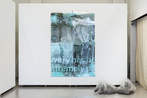 Joey Bryniarska Mute/Unmute 4/4 (Yulia Skripal), 2020 Silver gelatin prints on Ilford Multigrade IV RC paper, toned in Miraclegro fertiliser, archival polyester preservation pockets 125 x 186 cm Edition of 1