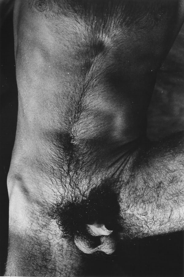 Alair Gomes Symphony of Erotic Icons #26, 1966 to 1978 Vintage print 30 x 24cm