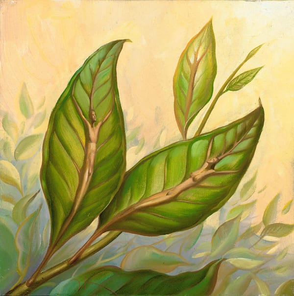 TWO LEAVES OF ONE TREE