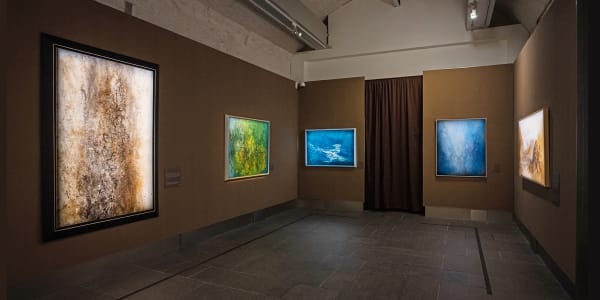 延綿之軀 — 謝景蘭藝術展 亞洲協會香港中心