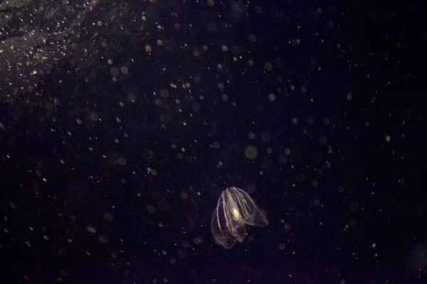 Ac6Ed1Fb857E15Fd000Dbb111D000A2Dj