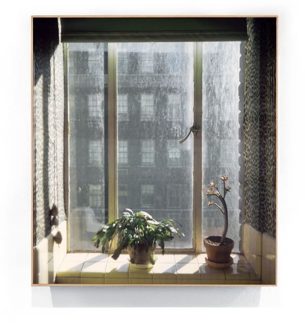 New York, New York, 1974 [Kitchen Window], 2023 Archival pigment print, 3D lenticular lens, walnut frame 20-1/4 x 18-1/4 x 4 inches Edition of 5