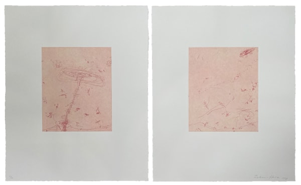 Rebecca Horn Untitled Diptych, 1998