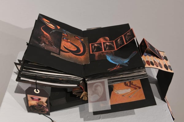 Dhara Rivera, A vuelo de pájaro ( As The Crow Flies), 2015-2021