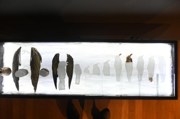 Dhara Rivera, Fin de cuentas (After All), 2019-2021