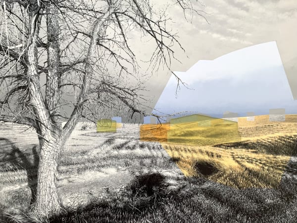 PAUL PAIEMENT NEXUS--MURDO, SOUTH DAKOTA, 2021