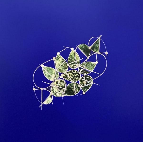 SNEŽANA SARASWATI PETROVIĆ An Orifice, 2024