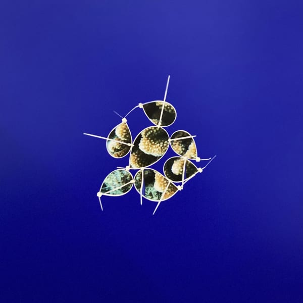 SNEŽANA SARASWATI PETROVIĆ Ringwoodite Hymn, 2024