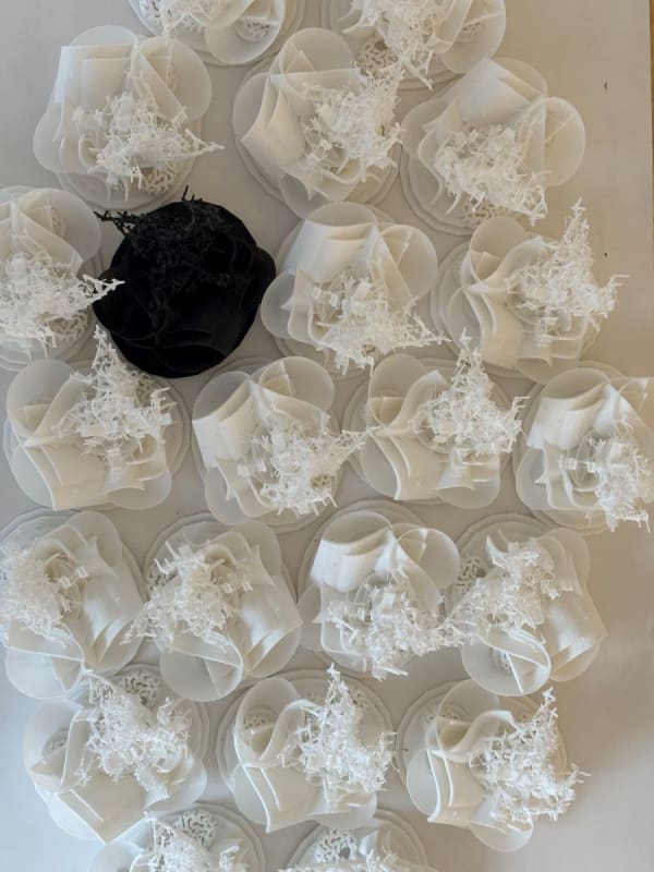 SNEŽANA SARASWATI PETROVIĆ Wave, 2024