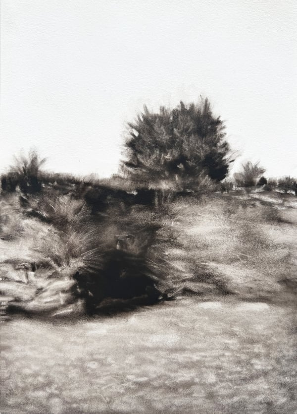 LYNNE MCDANIEL Bluff, 2024