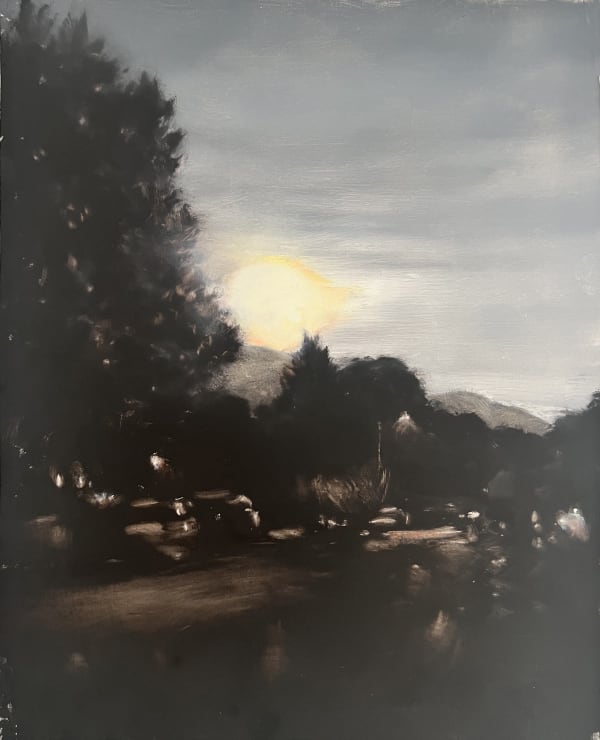 LYNNE MCDANIEL Supermoon (garbage day), 2024