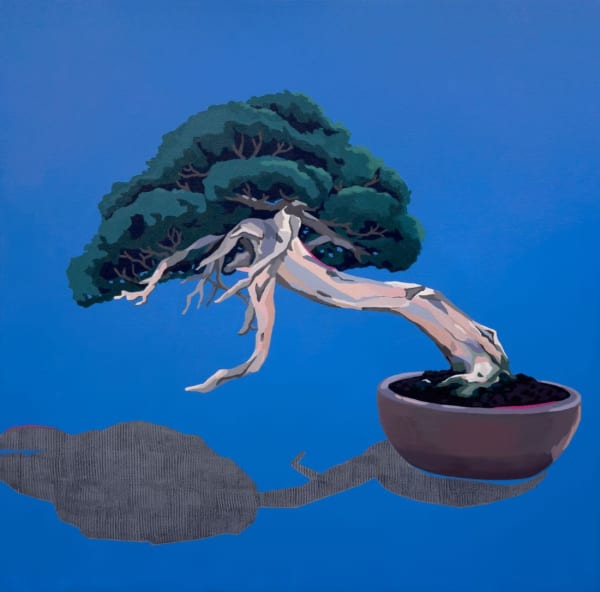 YUMIKO GLOVER Shimpaku Juniper, 2024