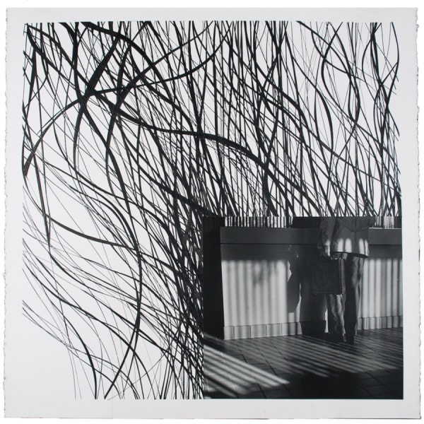 A.M. Rousseau, Supplicant - 2019