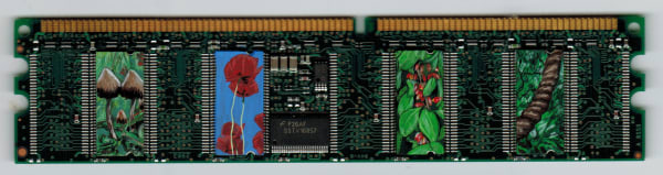 Axel Wilhite, Memories of Drugs - 2017