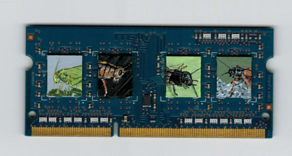 Axel Wilhite, Memories of Insects - 2017