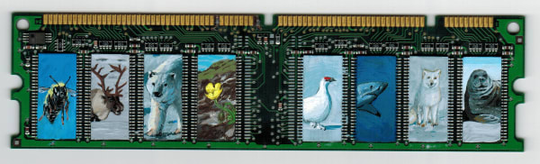 Axel Wilhite, Memories of Tundra - 2017