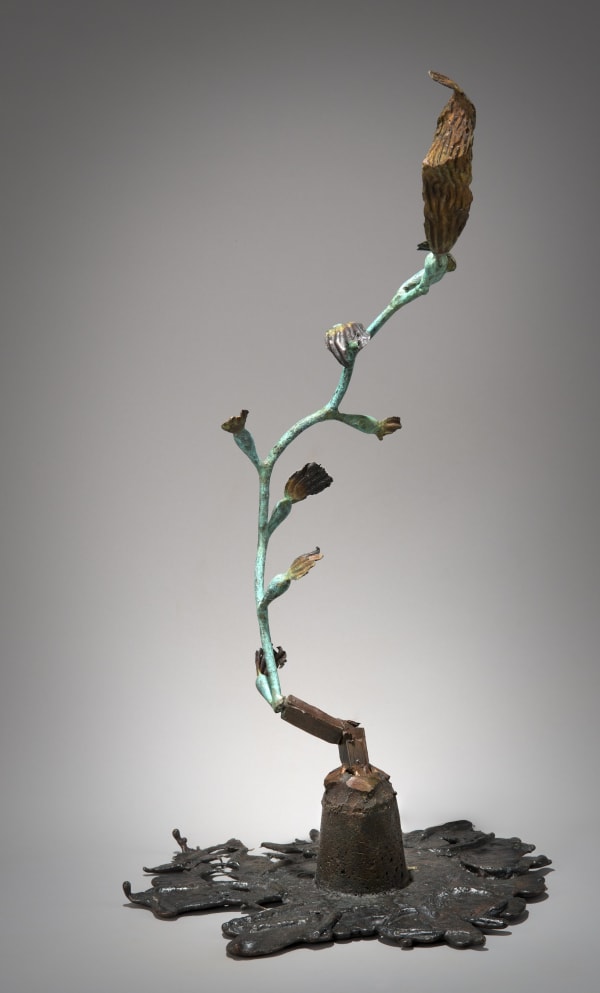 Colleen M Kelly, The Persistence of Growth, II - 2015