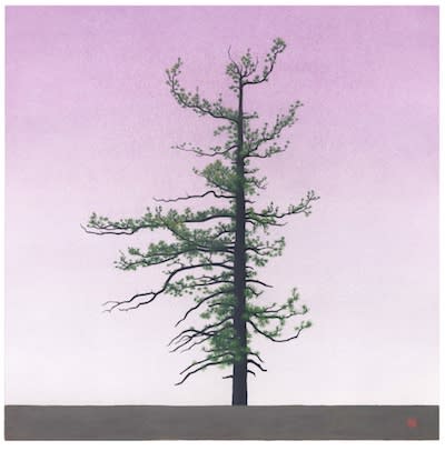 Greg Rose, Hillyer Tree - 2015