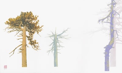 Greg Rose, Where Did You Go And Why? - 2017