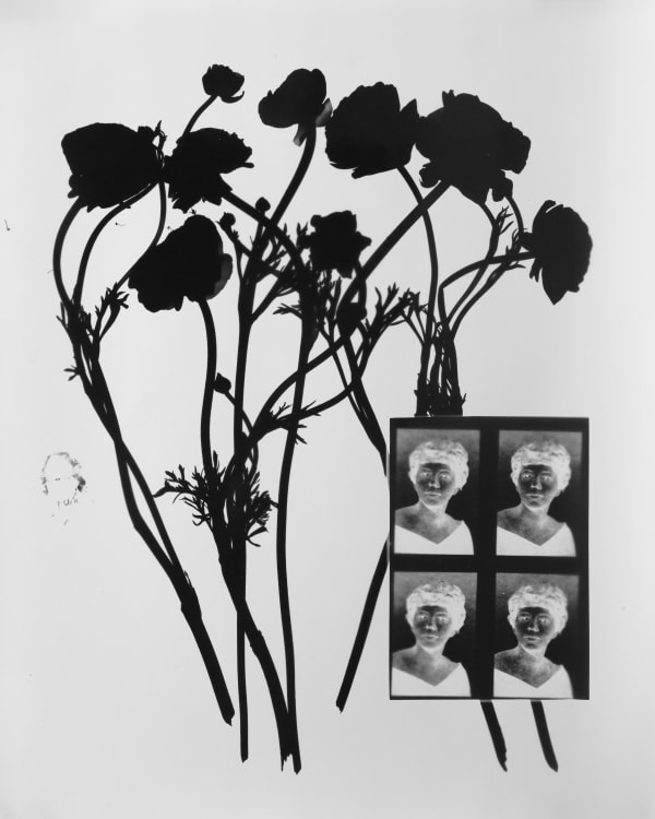 Janna Ireland, Pauline IV, 2022