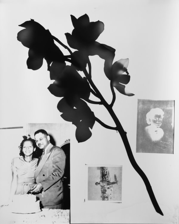 Janna Ireland, Pauline I, 2022