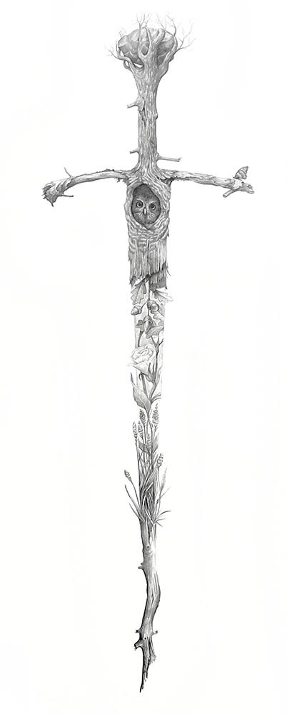 Andrew K. Currey, Boundary II, 2021