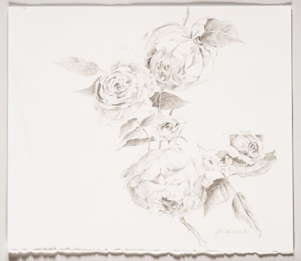 Hiroko Yoshimoto, English Roses, 2022