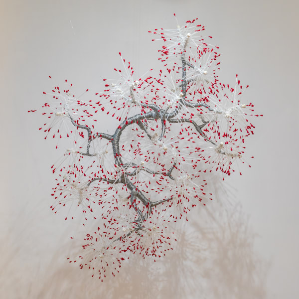 Re•iterate, Lorraine Heitzman, Raghubir Kintisch & Monica Wyatt