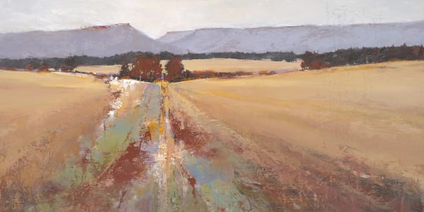 SARAH B HANSEN WILD WALKS: An Artist's Journey Through Sights and Sounds of Pacific Northwest Trails