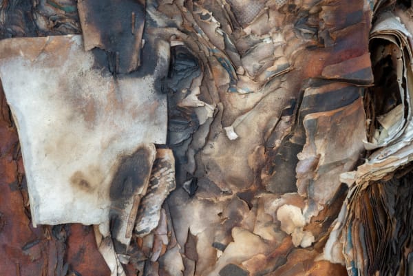 HELÉNA DUPRE THOMPSON UNINTENTIONAL SPECTACLES