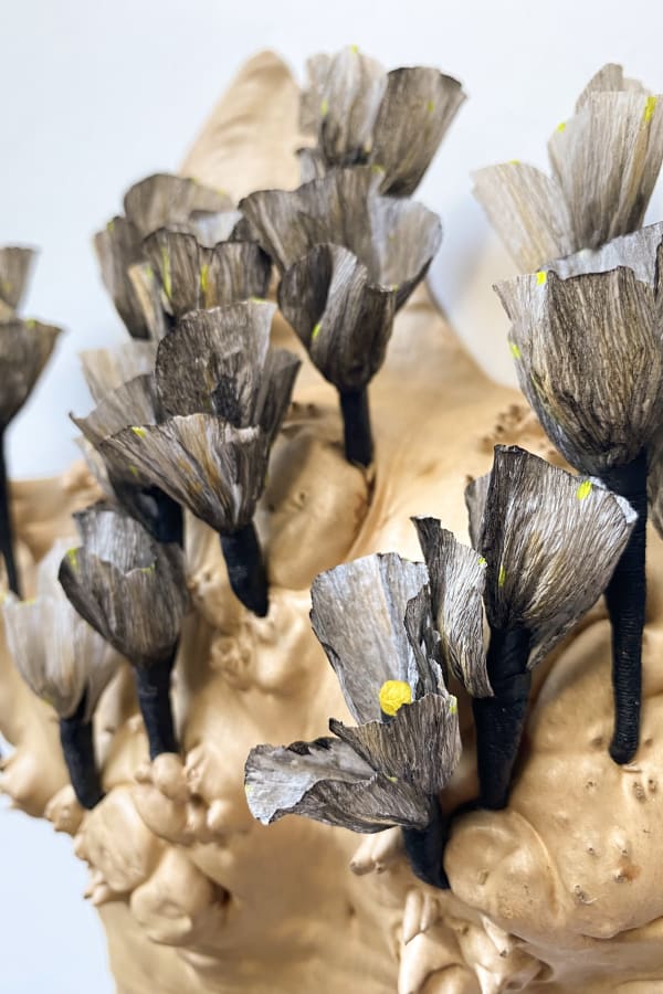 EMILY BIXLER FLOWERS FOR THE CRONE