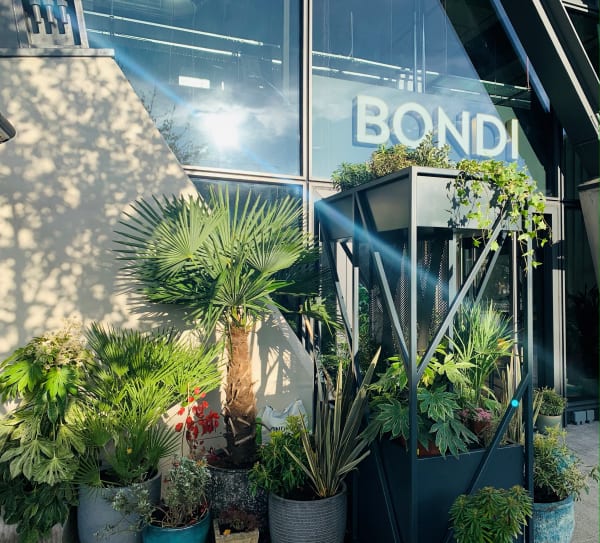 Bondi Green, Paddington