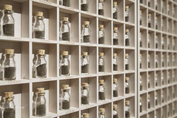 Nadia Kaabi-Linke Tunisian Americans, 2012, detail