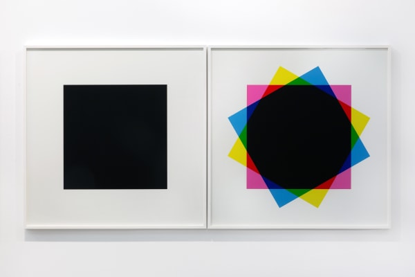 Hamra Abbas Misprint 2 (Diptych), 2019 Archival pigment print 121.9 x 121.9 cm each 48 x 48 in each Edition of 5 plus 2 AP