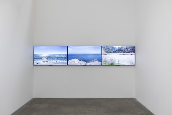 Installation view of Saif Azzuz, 'Invisible Fish', 17 January - 3 April 2026. Photography by Ismail Noor of Seeing Things. Images courtesy of the artist and Lawrie Shabibi.