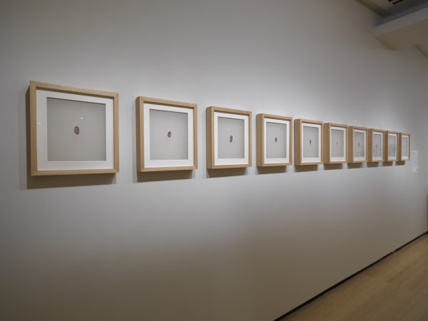 We Do Not Dream Alone: Asia Society Triennial