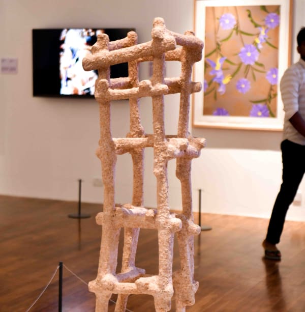 Mohamed Ahmed Ibrahim at the Bihar Museum