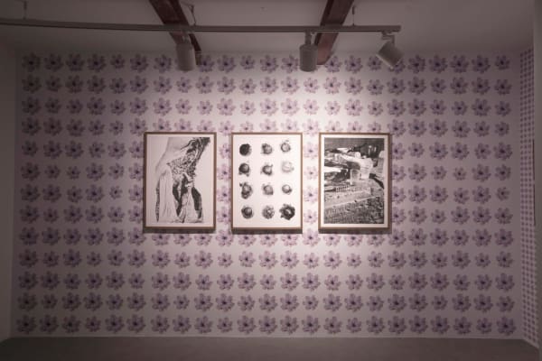 Dima Srouji | 'When Solidarity is not a Metaphor'