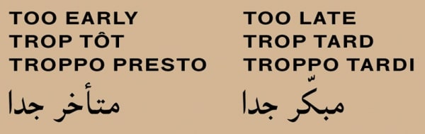 Taus Makhacheva in Pinacoteca Nazionale di Bologna