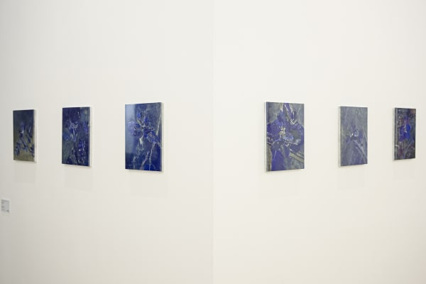 Installation view of Hamra Abbas, Flower Studies 18 - 23, 2024, Lapis lazuli on marble, 27.94 x 22.86 x 1.9 cm.