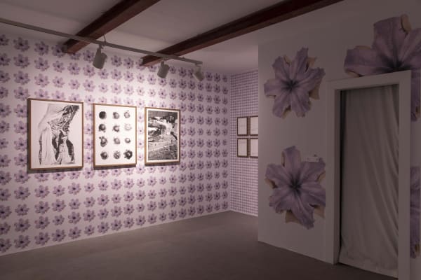 Revolutionary Enclosures (Until the Apricots) (2023) by Jasbir Puar and Dima Srouji, Sharjah Biennial 15.